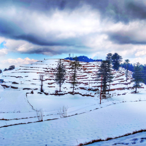 Kashmir