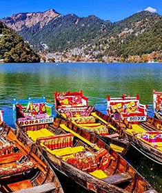 Nanital