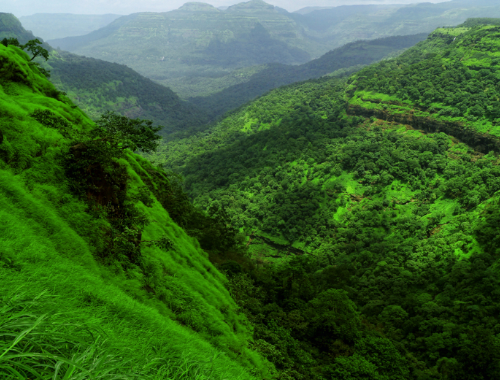 Kerala