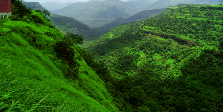 Kerala Blog