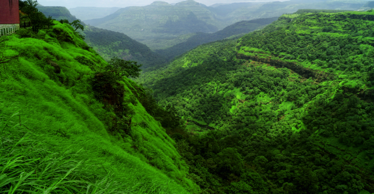 Kerala Blog