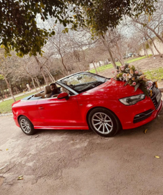 Wedding Car Rental