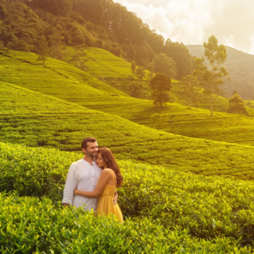 Sri Lanka 1