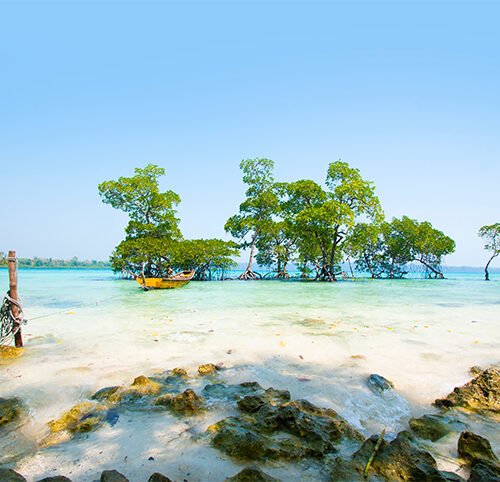 Andaman Island 3