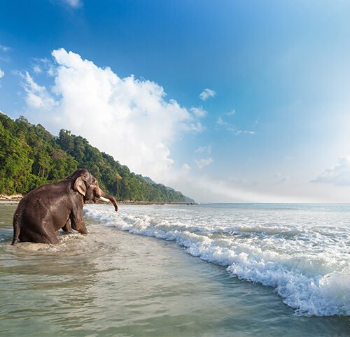 Andaman Island 2