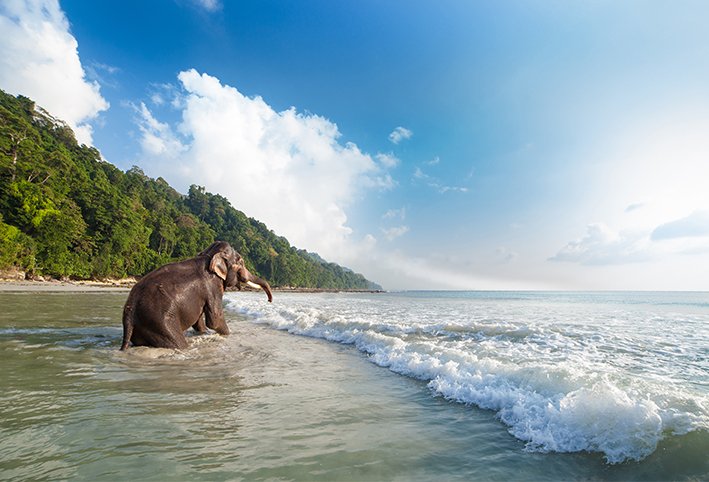 Andaman Island 2