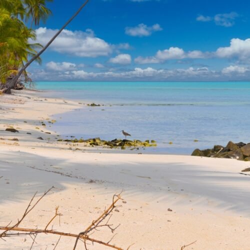 LAKSHADWEEP 1